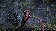 Imagen 9 de The Witcher 3: Wild Hunt