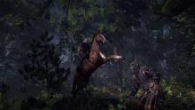 Imagen 28 de The Witcher 3: Wild Hunt