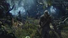 Imagen 52 de The Witcher 3: Wild Hunt