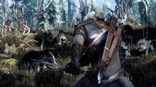 Imagen 54 de The Witcher 3: Wild Hunt