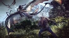 Imagen 71 de The Witcher 3: Wild Hunt