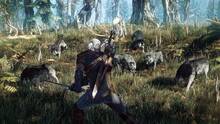 Imagen 74 de The Witcher 3: Wild Hunt