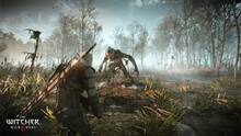 Imagen 176 de The Witcher 3: Wild Hunt