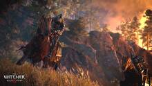 Imagen 193 de The Witcher 3: Wild Hunt