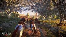 Imagen 159 de The Witcher 3: Wild Hunt