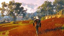 Imagen 285 de The Witcher 3: Wild Hunt