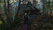 Imagen 292 de The Witcher 3: Wild Hunt