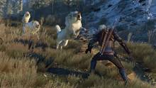 Imagen 293 de The Witcher 3: Wild Hunt