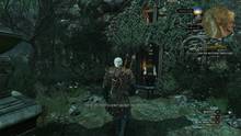 Imagen 329 de The Witcher 3: Wild Hunt