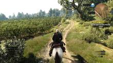 Imagen 331 de The Witcher 3: Wild Hunt
