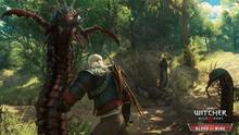 Imagen 351 de The Witcher 3: Wild Hunt
