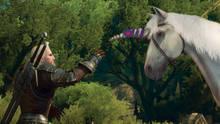 Imagen 357 de The Witcher 3: Wild Hunt