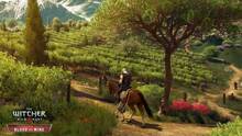 Imagen 361 de The Witcher 3: Wild Hunt