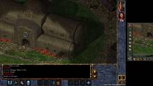 Imagen 6 de Baldur's Gate: Enhanced Edition