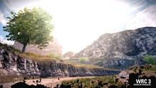 Imagen 68 de WRC 3