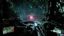 Imagen 24 de Crysis 3