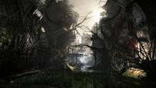 Imagen 66 de Crysis 3