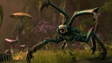 Imagen 32 de The Elder Scrolls Online