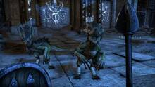 Imagen 21 de The Elder Scrolls Online: Tamriel Unlimited