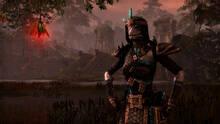Imagen 45 de The Elder Scrolls Online