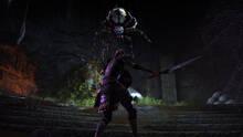 Imagen 44 de The Elder Scrolls Online