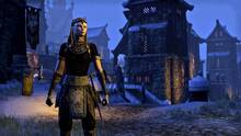 Imagen 56 de The Elder Scrolls Online