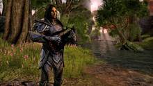 Imagen 51 de The Elder Scrolls Online