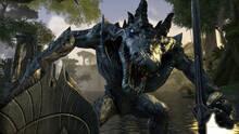 Imagen 14 de The Elder Scrolls Online: Tamriel Unlimited