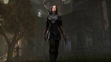 Imagen 17 de The Elder Scrolls Online: Tamriel Unlimited