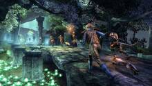 Imagen 138 de The Elder Scrolls Online: Tamriel Unlimited