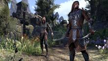 Imagen 117 de The Elder Scrolls Online: Tamriel Unlimited