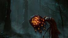 Imagen 7 de Elden Ring: Shadow of the Erdtree