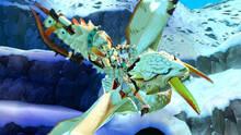 Imagen 48 de Monster Hunter Stories