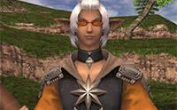 Imagen 42 de Final Fantasy XI: Seekers of Adoulin