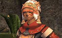 Imagen 43 de Final Fantasy XI: Seekers of Adoulin