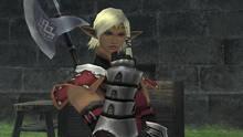Imagen 61 de Final Fantasy XI: Seekers of Adoulin