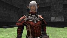 Imagen 64 de Final Fantasy XI: Seekers of Adoulin