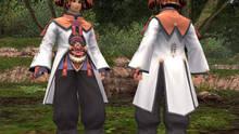 Imagen 23 de Final Fantasy XI: Seekers of Adoulin