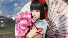 Imagen 182 de Samurai Warriors 4