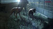 Imagen 12 de Metal Gear Solid V: Ground Zeroes