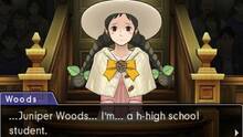 Imagen 58 de Phoenix Wright: Ace Attorney - Dual Destinies eShop