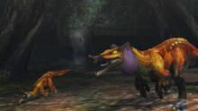 Imagen 264 de Monster Hunter 3 Ultimate