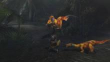 Imagen 273 de Monster Hunter 3 Ultimate