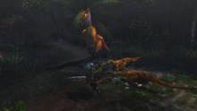 Imagen 269 de Monster Hunter 3 Ultimate