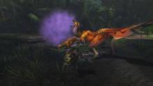 Imagen 272 de Monster Hunter 3 Ultimate