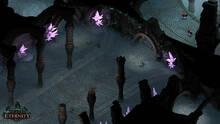 Imagen 11 de Pillars of Eternity