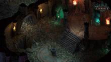 Imagen 19 de Pillars of Eternity