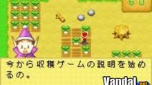 Imagen 9 de Harvest Moon: Friends of Mineral Town