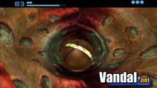 Imagen 46 de Metroid Prime 2: Echoes