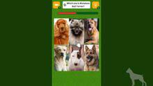 Imagen 2 de Dog Spotting Challenge!